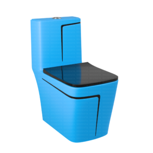 One-Piece Toilet (Commode) with 9-Inch S Trap Outlet BR2012
