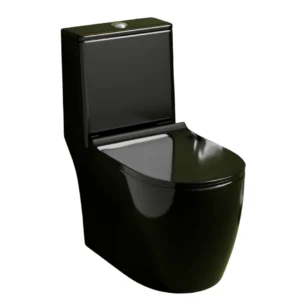 Z.Black One-Piece Toilet (Commode) with 9-Inch S Trap Outlet
