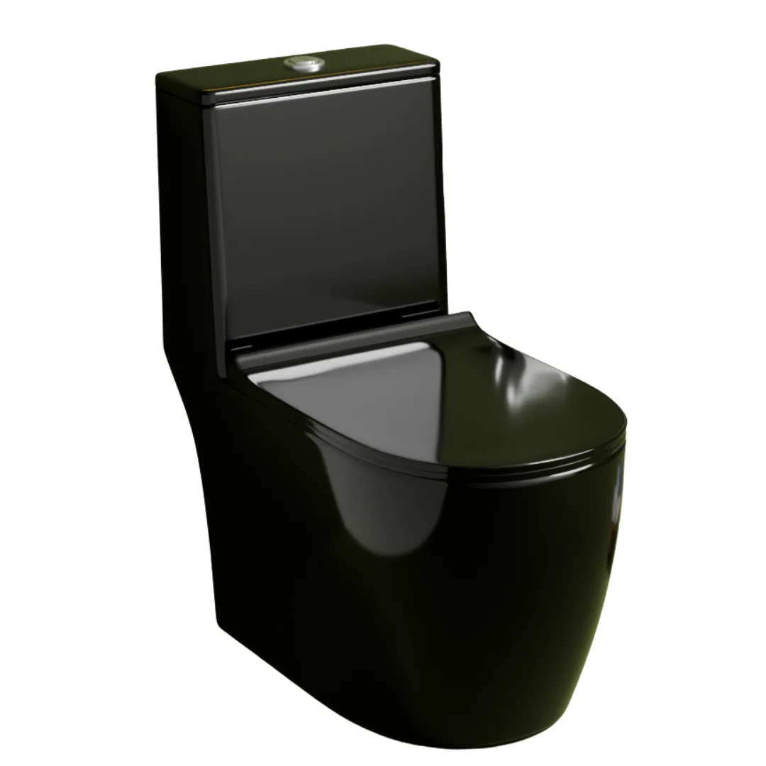 Z.Black One-Piece Toilet (Commode) with 9-Inch S Trap Outlet