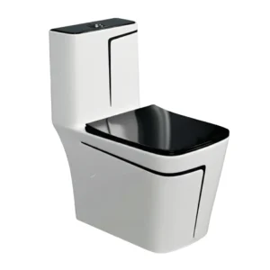 P-Trap One piece Closet (Commode) BR2001