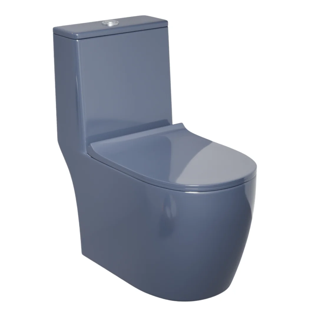 Z.Grey One-Piece Toilet (Commode) with 9-Inch S Trap Outlet