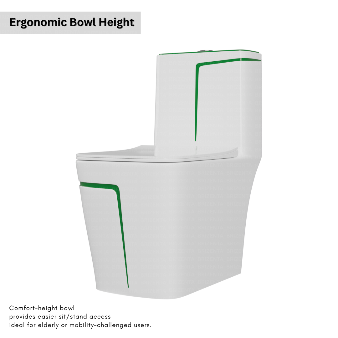 One-Piece Toilet (Commode) with 9-Inch S Trap Outlet BR2006