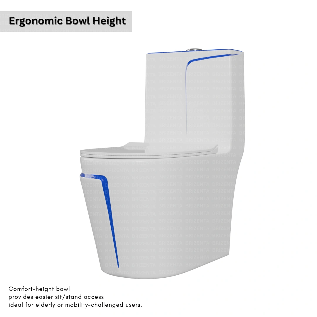 One-Piece Toilet (Commode) with 9-Inch S Trap Outlet BR1002