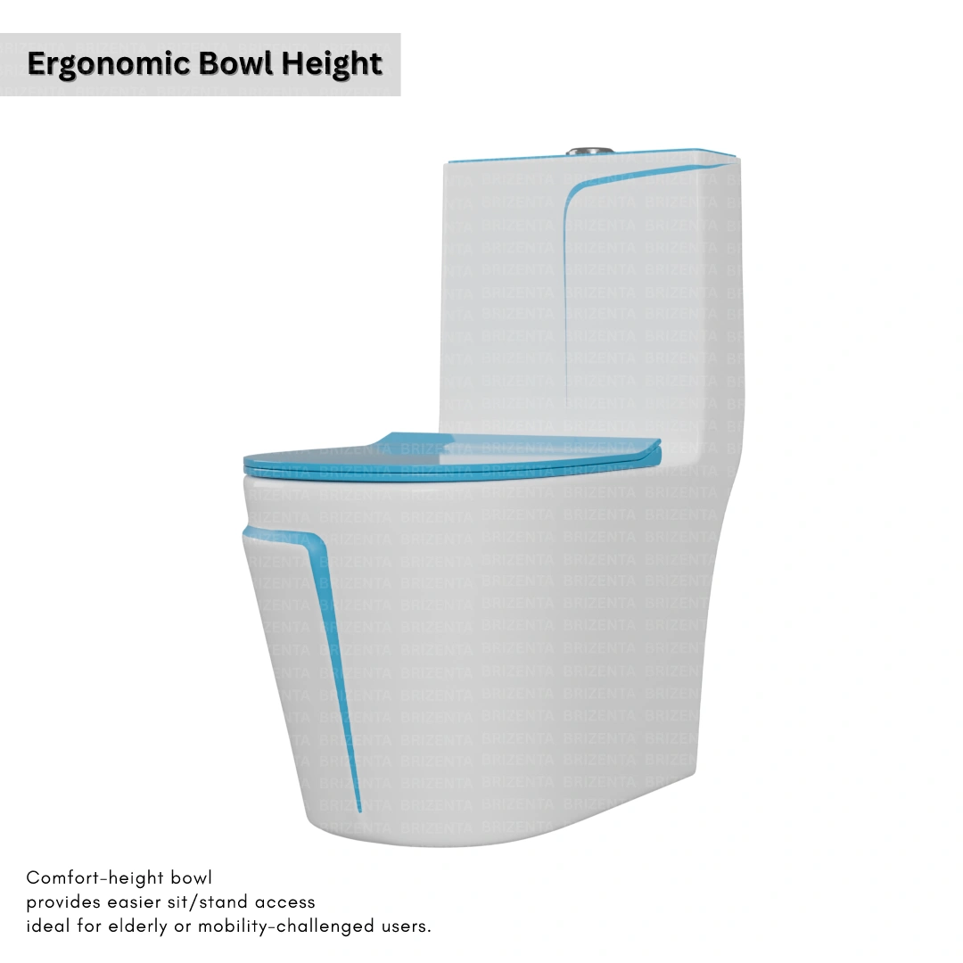 One-Piece Toilet (Commode) with 9-Inch S Trap Outlet BR1003