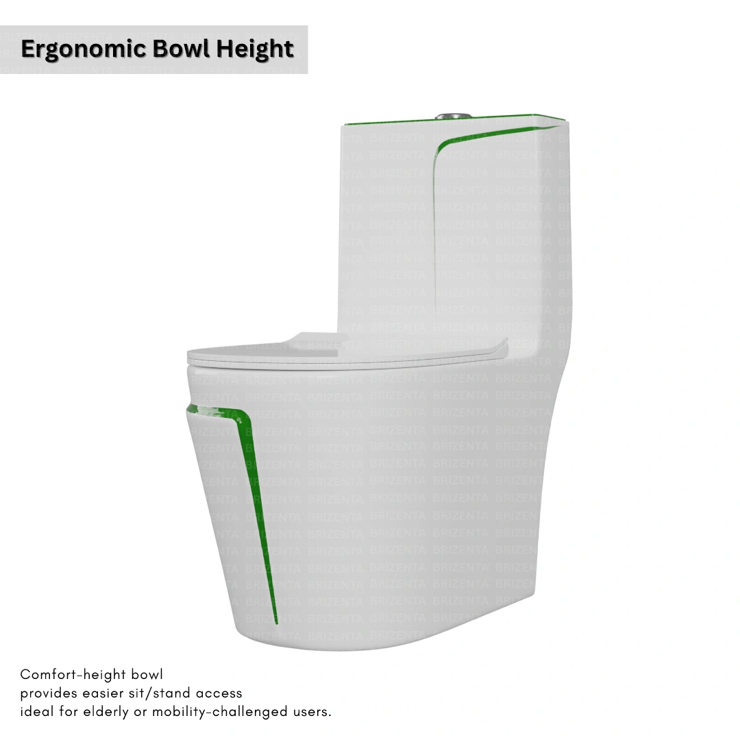 One-Piece Toilet (Commode) with 9-Inch S Trap Outlet BR1006