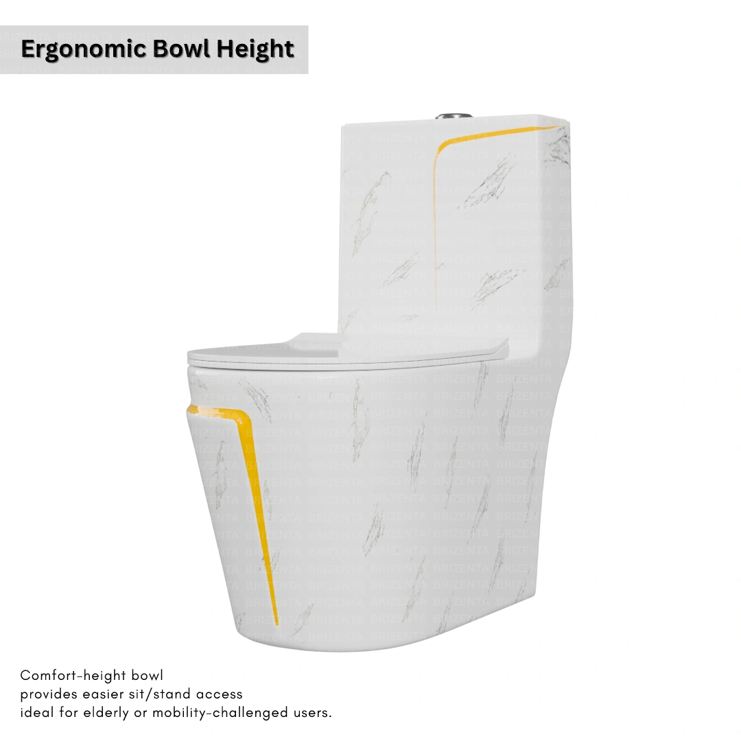 One-Piece Toilet (Commode) with 9-Inch S Trap Outlet BR1008